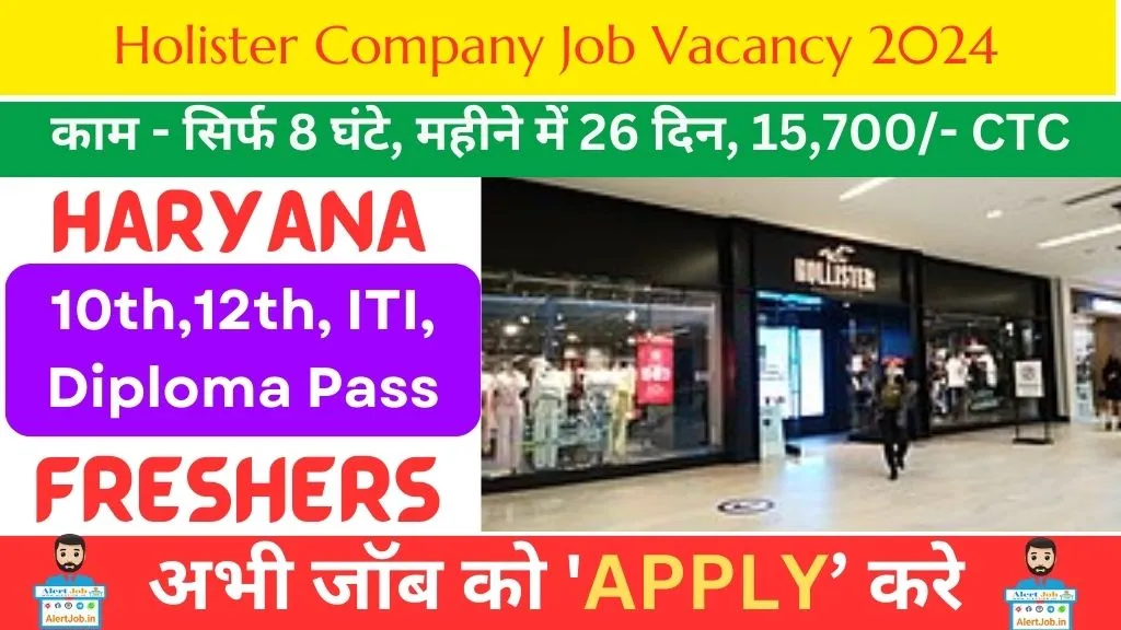 Holister Company Job Vacancy 2024