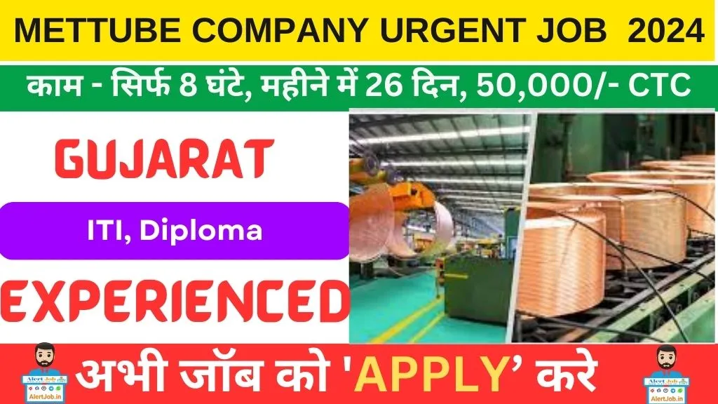 Mettube Company Urgent Job Recruitment 2024