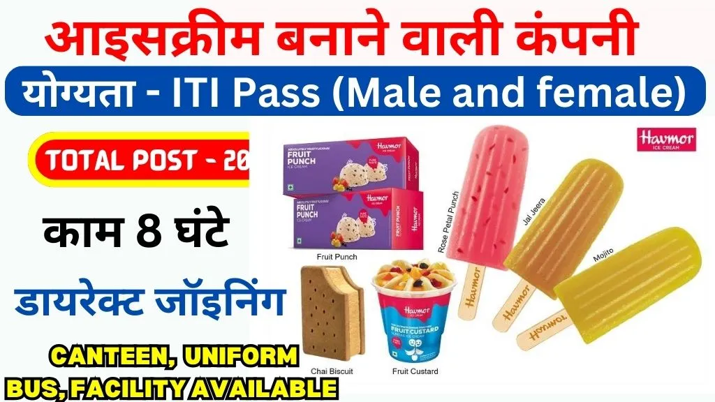 Havmor Ice-Cream Job Requirement 2024