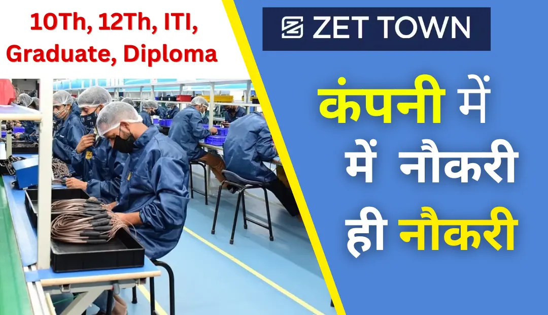 Zet town job vacancy 2024