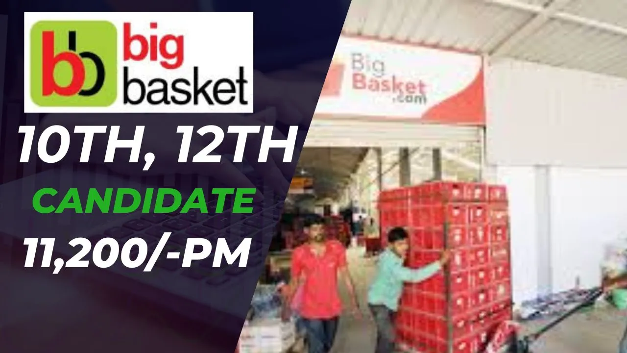 Big Basket Company Job In Ahmedabad