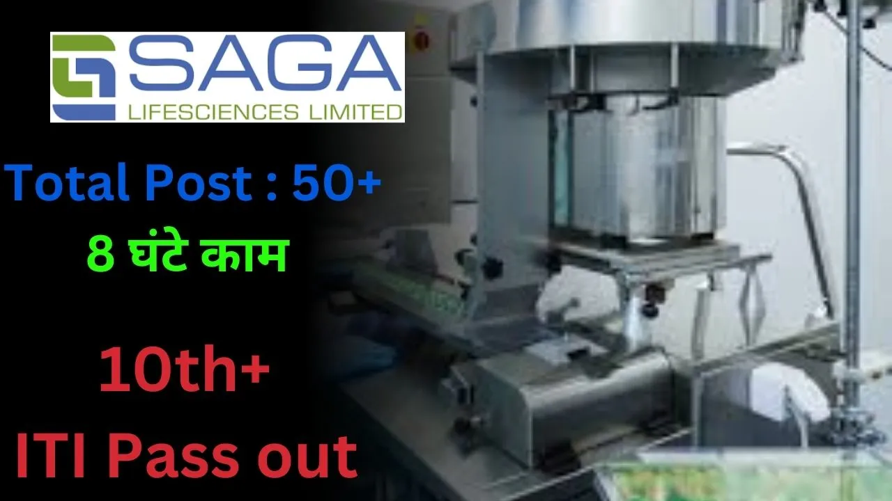 Saga Life Science Limited Job 2024