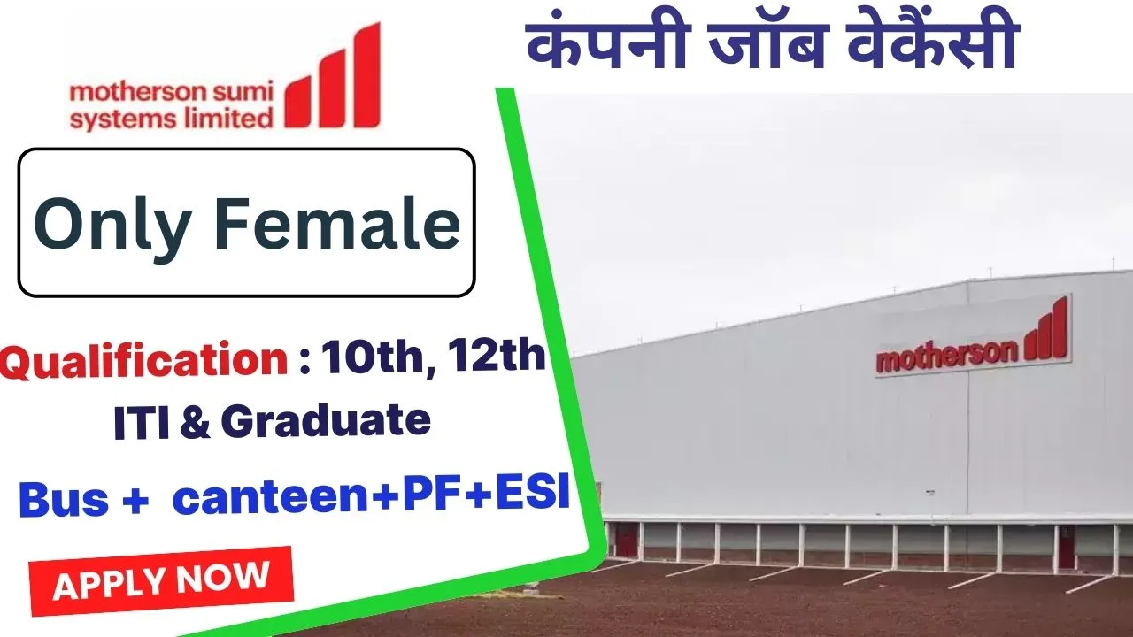 MSWIL Company Job Recruitment 2024