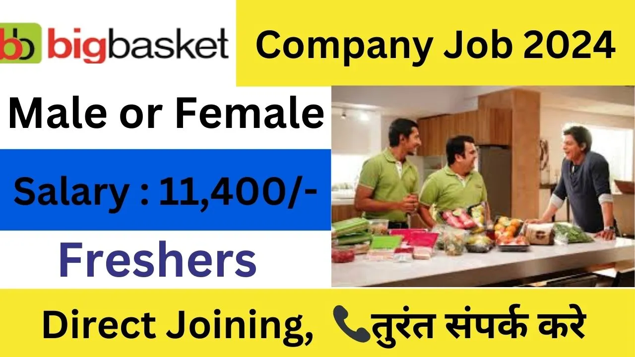 Bumper Job Opening In Big Basket Company 2024