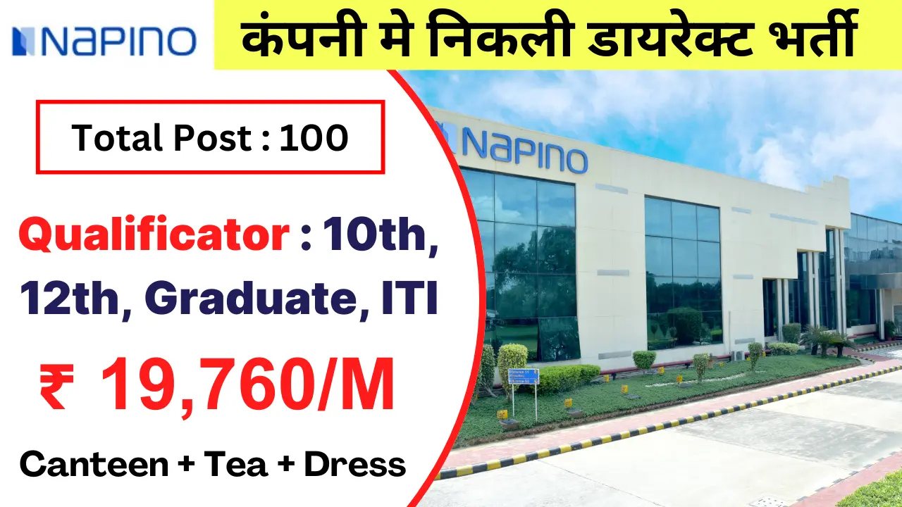 Napino Company Job Recruitment 2024