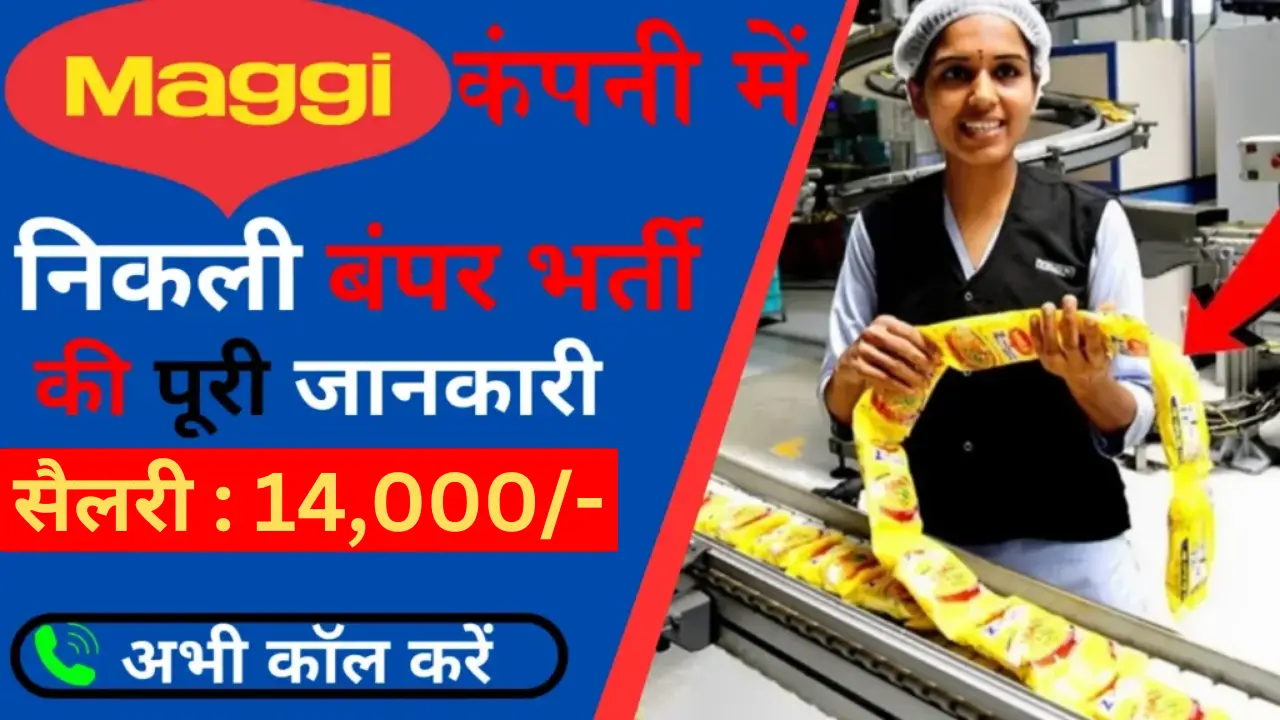 Maggi Manufacturing Job Vacancy 2024